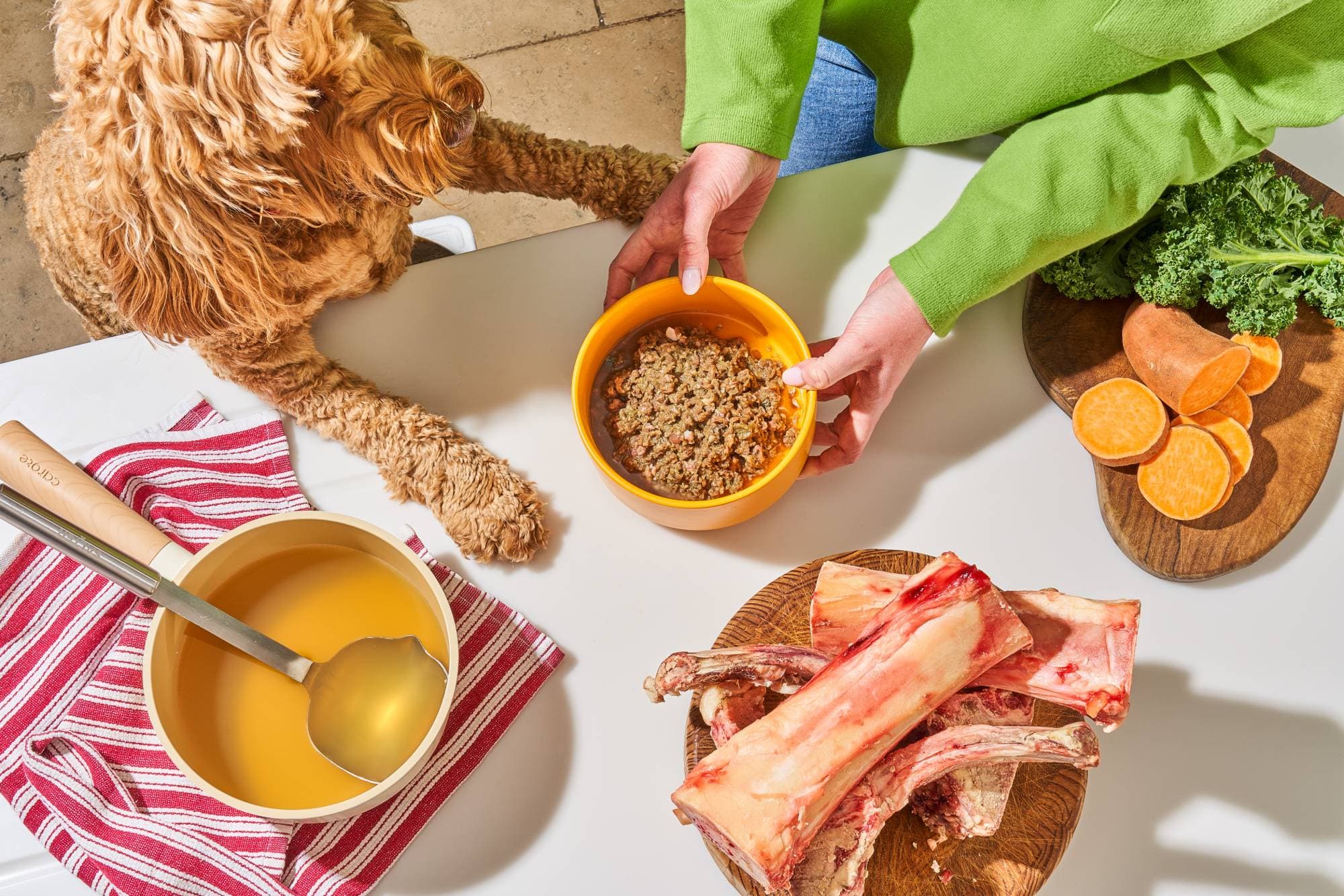 A dog waiting at the table as a bowl of raw food is served, with bone broth, marrow bones, kale and sweet potato
